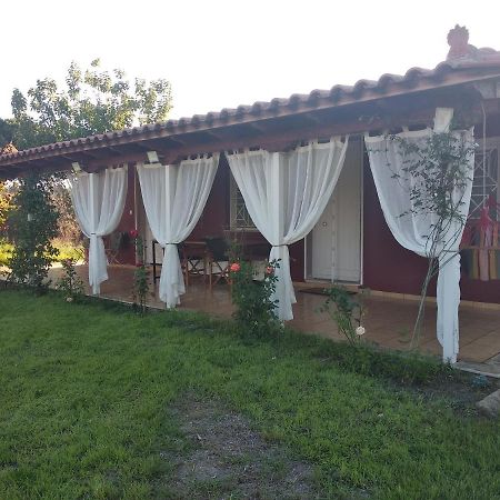 Olive Garden Guest House 키파리씨아 외부 사진