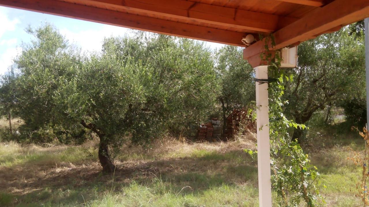 Olive Garden Guest House 키파리씨아 외부 사진