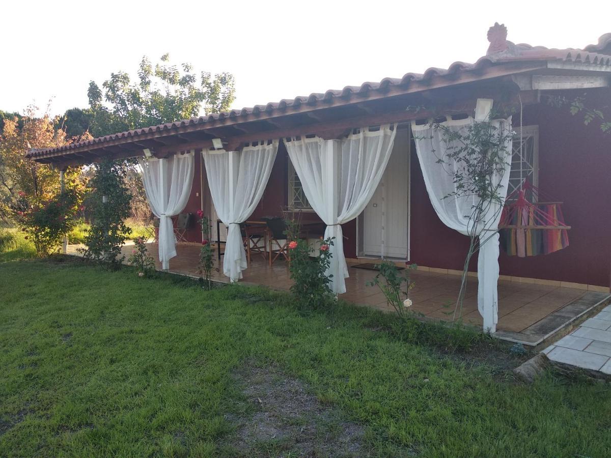 Olive Garden Guest House 키파리씨아 외부 사진